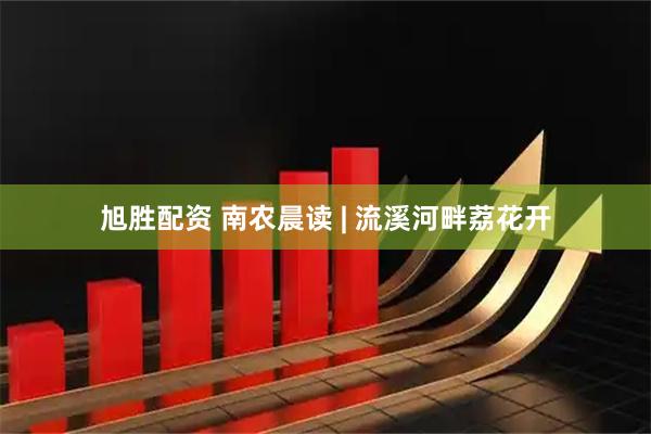 旭胜配资 南农晨读 | 流溪河畔荔花开