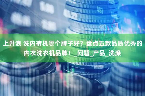 上升浪 洗内裤机哪个牌子好？盘点五款品质优秀的内衣洗衣机品牌！_问题_产品_洗涤