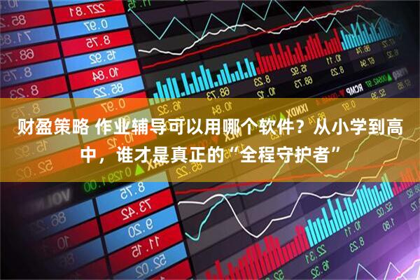 财盈策略 作业辅导可以用哪个软件？从小学到高中，谁才是真正的“全程守护者”