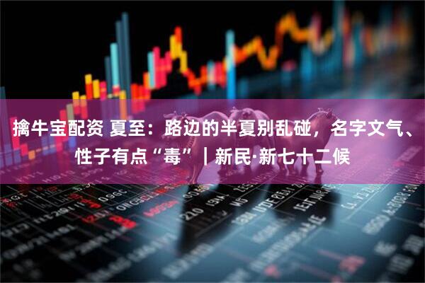 擒牛宝配资 夏至：路边的半夏别乱碰，名字文气、性子有点“毒”｜新民·新七十二候