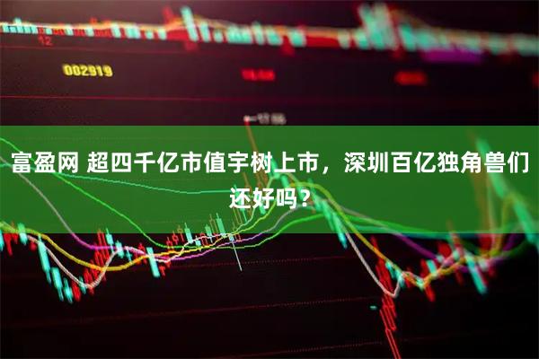富盈网 超四千亿市值宇树上市，深圳百亿独角兽们还好吗？